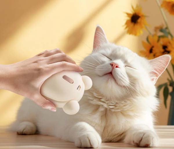 La petite souris by Puppies&Co™  — Brosse de Nettoyage et de Massage Spray pour Animaux